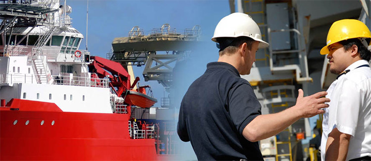 Career With Us